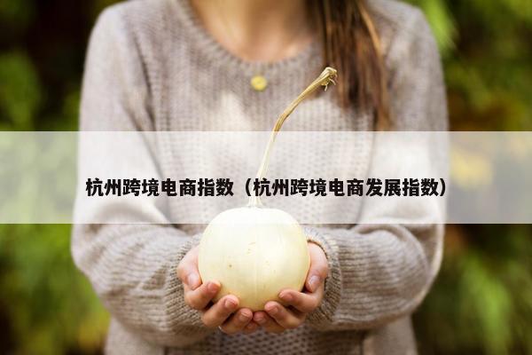 杭州跨境电商指数（杭州跨境电商发展指数）