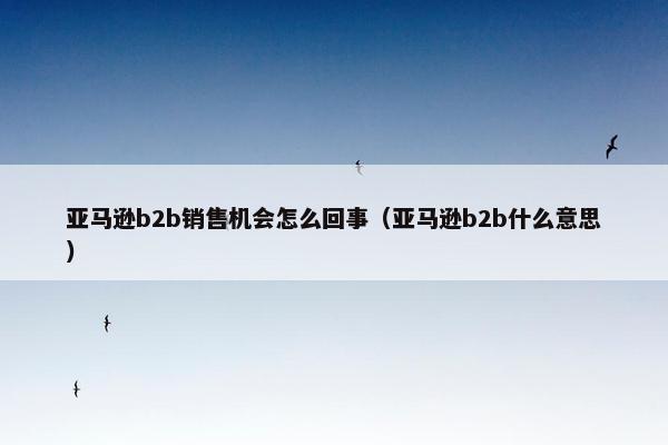 亚马逊b2b销售机会怎么回事（亚马逊b2b什么意思）