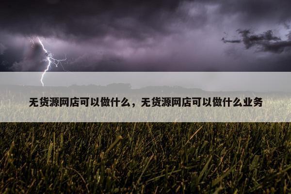 无货源网店可以做什么，无货源网店可以做什么业务