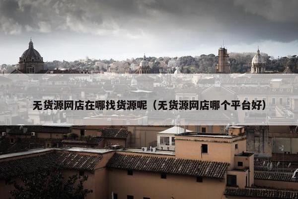无货源网店在哪找货源呢（无货源网店哪个平台好）