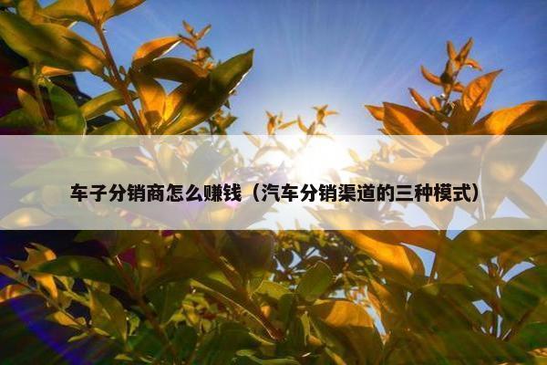 车子分销商怎么赚钱（汽车分销渠道的三种模式）