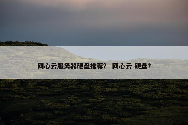 网心云服务器硬盘推荐？ 网心云 硬盘？