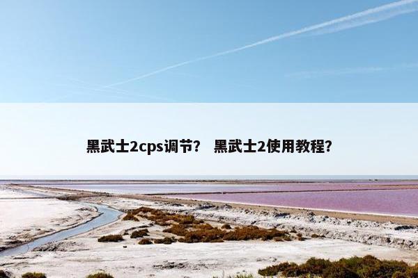 黑武士2cps调节？ 黑武士2使用教程？