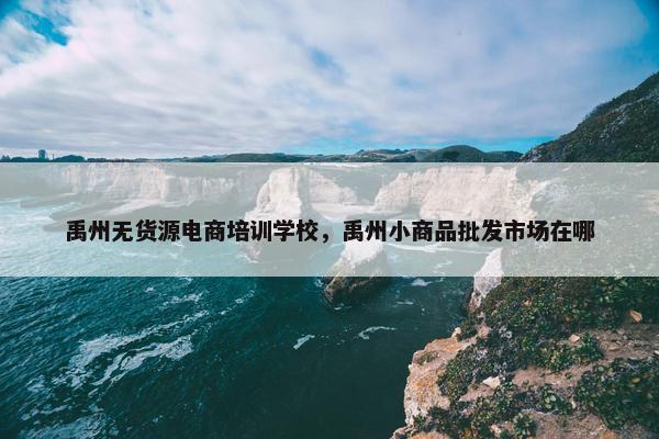 禹州无货源电商培训学校，禹州小商品批发市场在哪