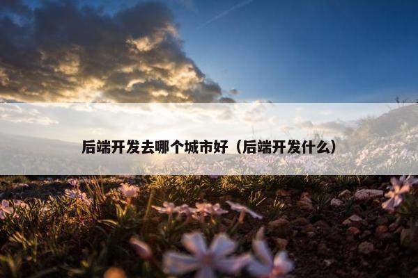 后端开发去哪个城市好（后端开发什么）