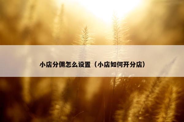 小店分佣怎么设置（小店如何开分店）