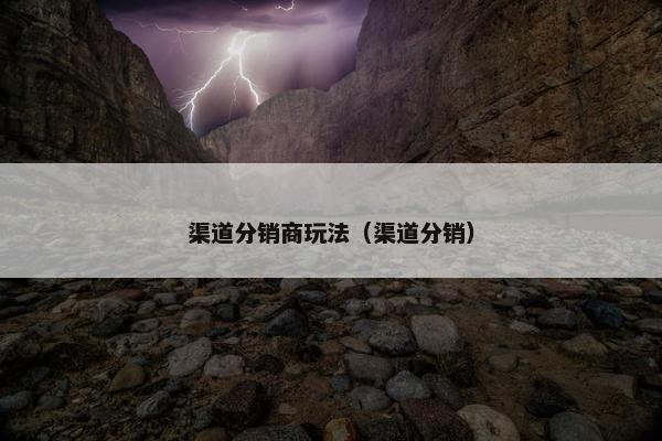 渠道分销商玩法（渠道分销）