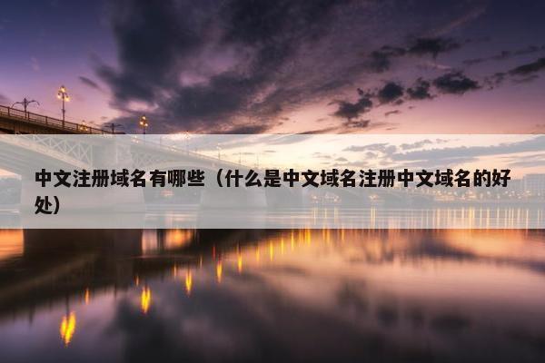 中文注册域名有哪些（什么是中文域名注册中文域名的好处）