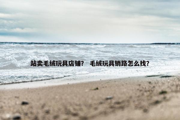 站卖毛绒玩具店铺？ 毛绒玩具销路怎么找？