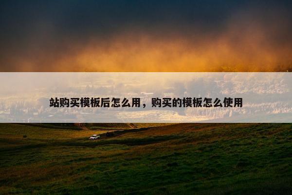 站购买模板后怎么用，购买的模板怎么使用