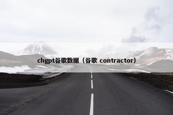chgpt谷歌数据（谷歌 contractor）
