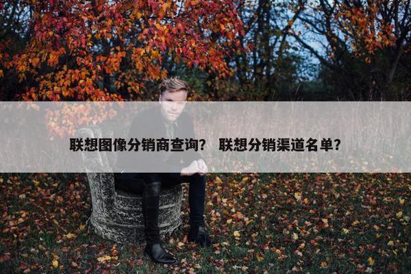 联想图像分销商查询？ 联想分销渠道名单？