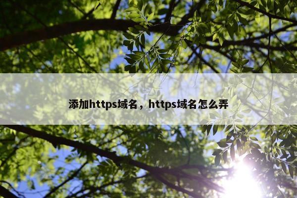 添加https域名，https域名怎么弄