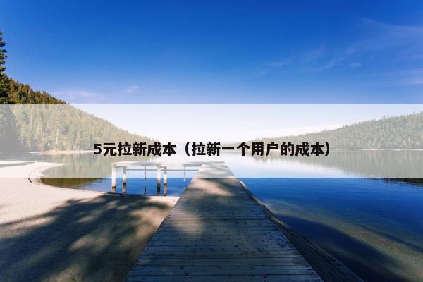 5元拉新成本（拉新一个用户的成本）