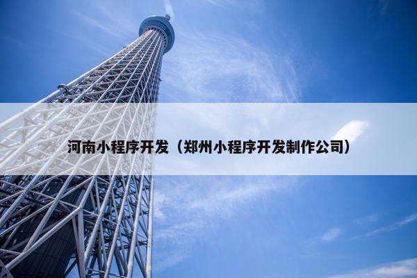 河南小程序开发（郑州小程序开发制作公司）