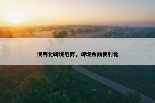 便利化跨境电商，跨境金融便利化