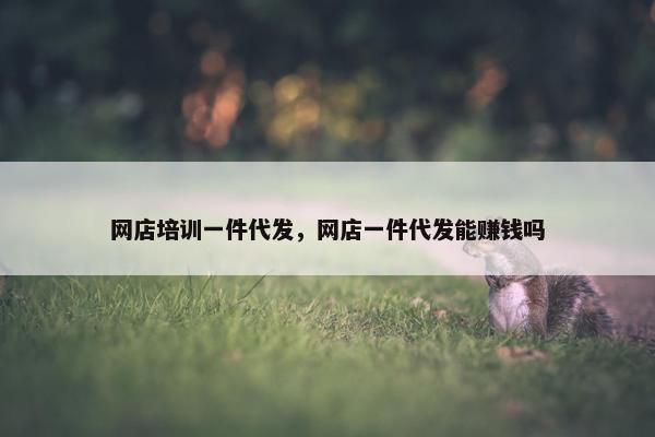 网店培训一件代发，网店一件代发能赚钱吗
