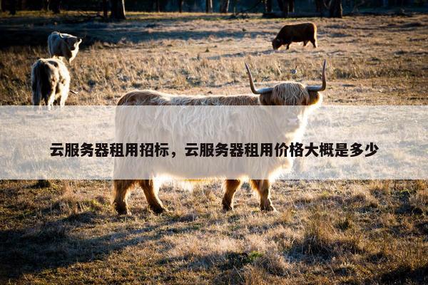 云服务器租用招标，云服务器租用价格大概是多少