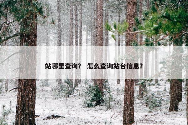 站哪里查询？ 怎么查询站台信息？