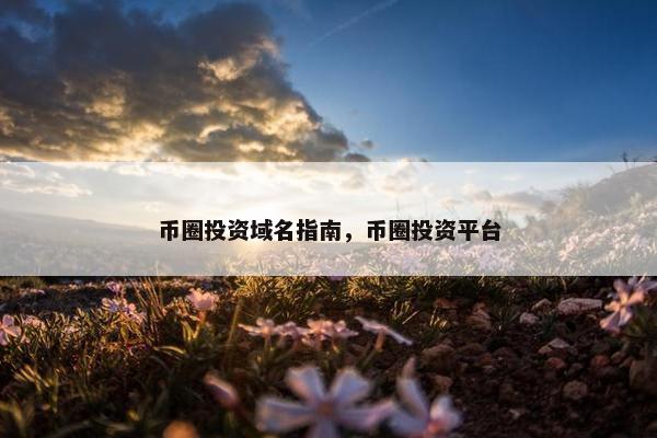 币圈投资域名指南，币圈投资平台