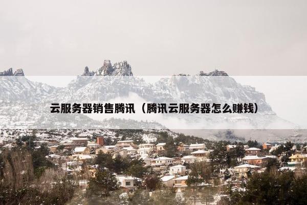 云服务器销售腾讯（腾讯云服务器怎么赚钱）
