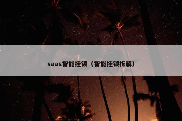 saas智能挂锁（智能挂锁拆解）