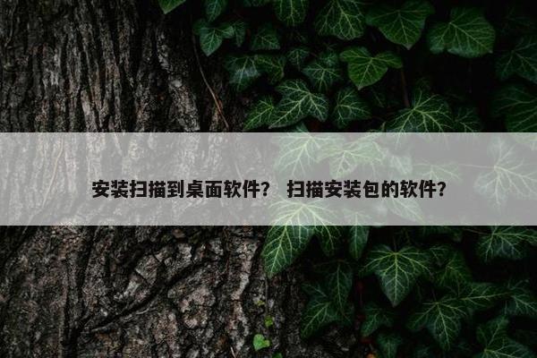安装扫描到桌面软件？ 扫描安装包的软件？