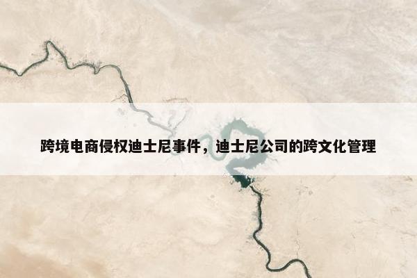跨境电商侵权迪士尼事件，迪士尼公司的跨文化管理
