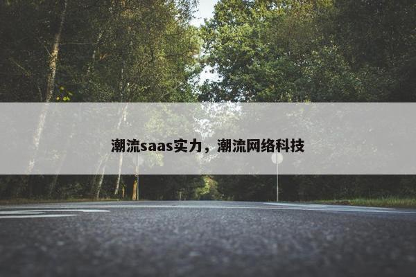 潮流saas实力，潮流网络科技