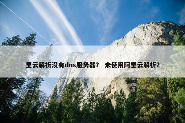 里云解析没有dns服务器？ 未使用阿里云解析？
