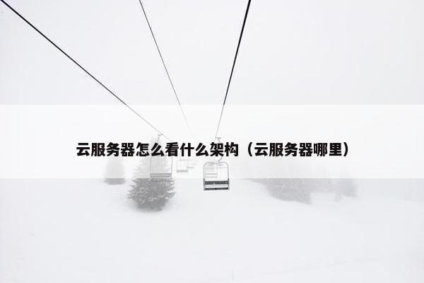 云服务器怎么看什么架构（云服务器哪里）