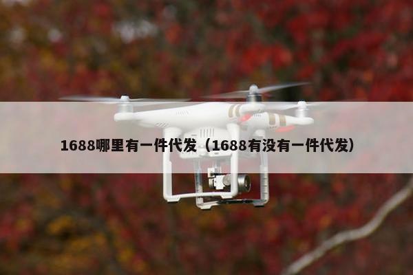 1688哪里有一件代发（1688有没有一件代发）
