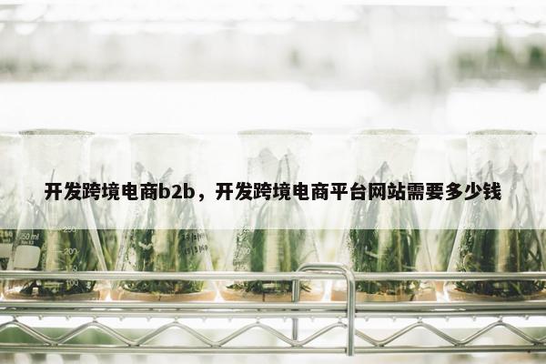 开发跨境电商b2b，开发跨境电商平台网站需要多少钱