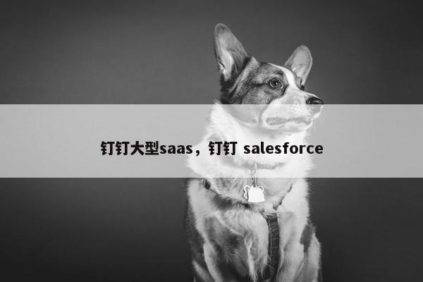 钉钉大型saas，钉钉 salesforce