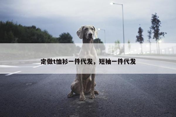 定做t恤衫一件代发，短袖一件代发