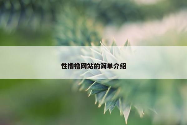 性橹橹网站的简单介绍