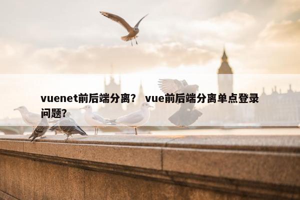 vuenet前后端分离？ vue前后端分离单点登录问题？