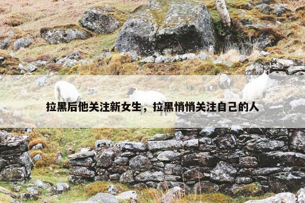 拉黑后他关注新女生，拉黑悄悄关注自己的人
