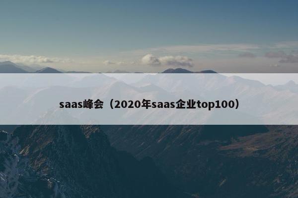 saas峰会（2020年saas企业top100）