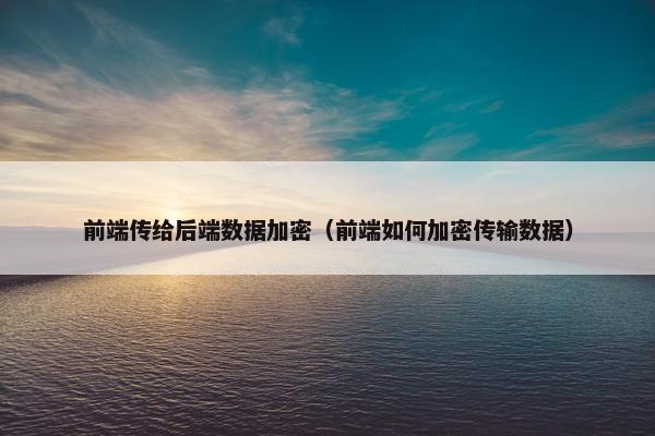 前端传给后端数据加密（前端如何加密传输数据）
