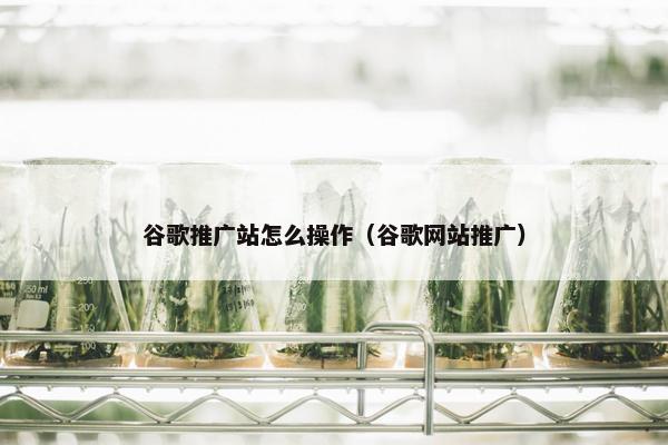 谷歌推广站怎么操作（谷歌网站推广）
