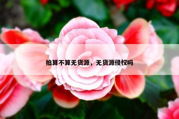 拍算不算无货源，无货源侵权吗