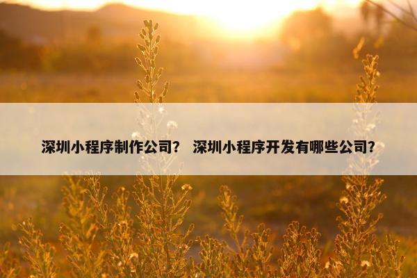 深圳小程序制作公司？ 深圳小程序开发有哪些公司？