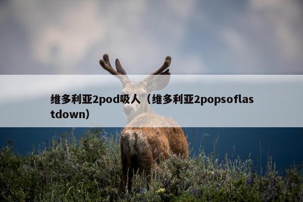 维多利亚2pod吸人（维多利亚2popsoflastdown）
