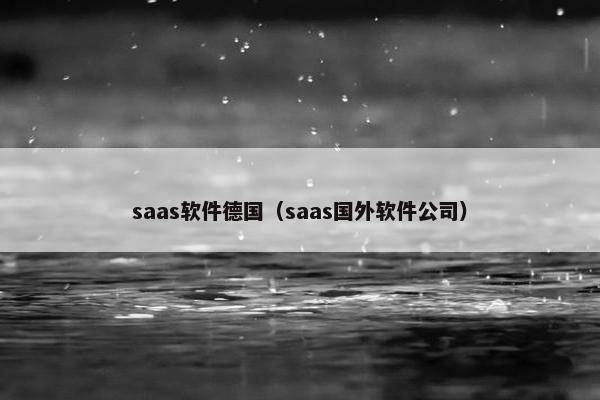 saas软件德国（saas国外软件公司）
