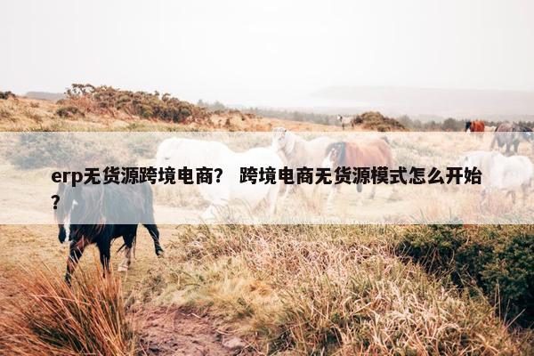 erp无货源跨境电商？ 跨境电商无货源模式怎么开始？