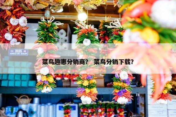 菜鸟趣惠分销商？ 菜鸟分销下载？