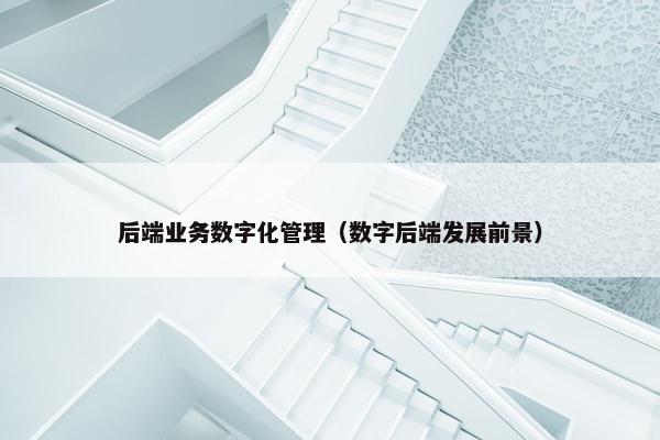 后端业务数字化管理（数字后端发展前景）