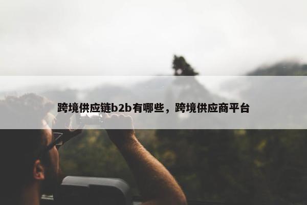 跨境供应链b2b有哪些，跨境供应商平台