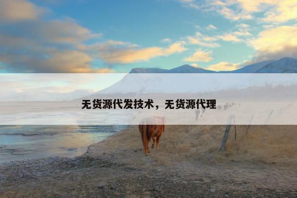 无货源代发技术，无货源代理